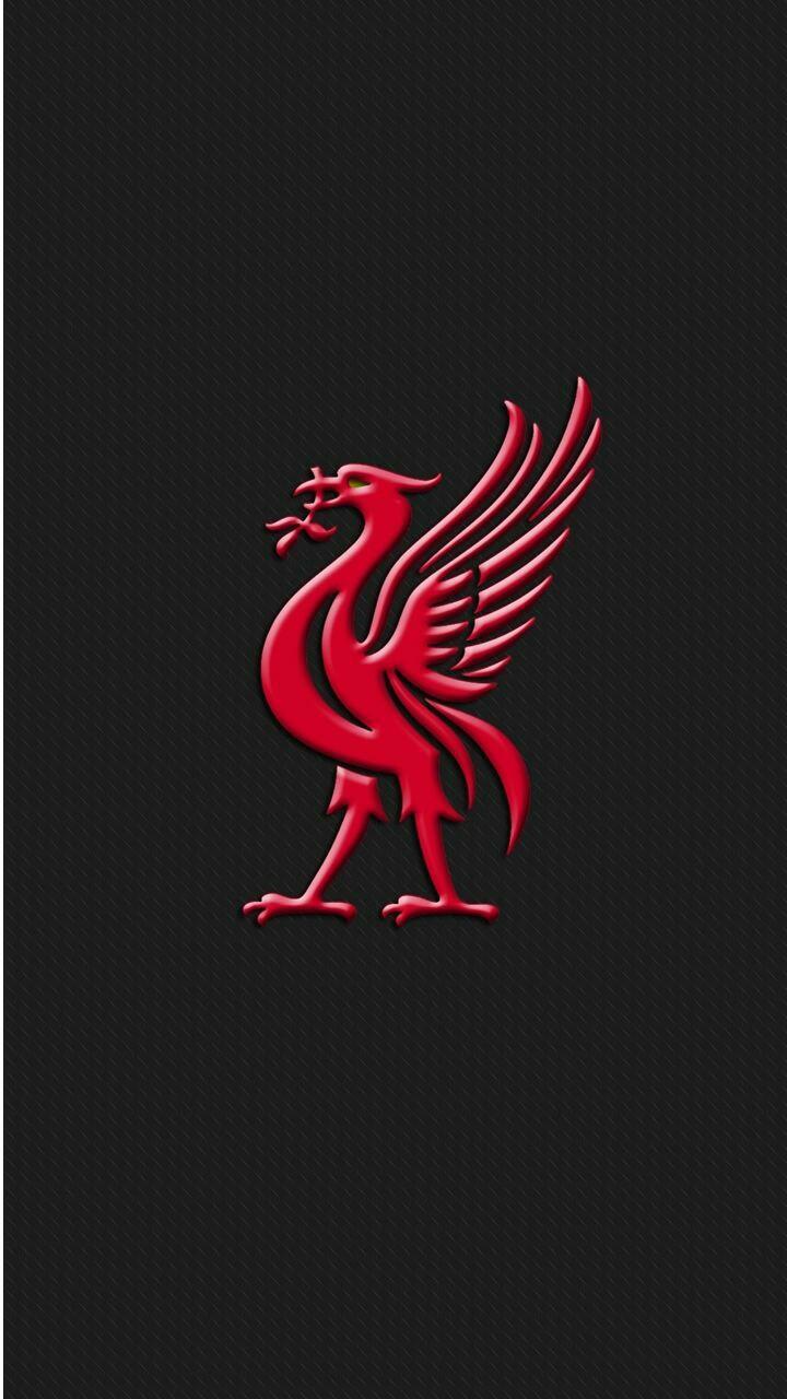 Liver Bird Wallpapers - Wallpaper Cave