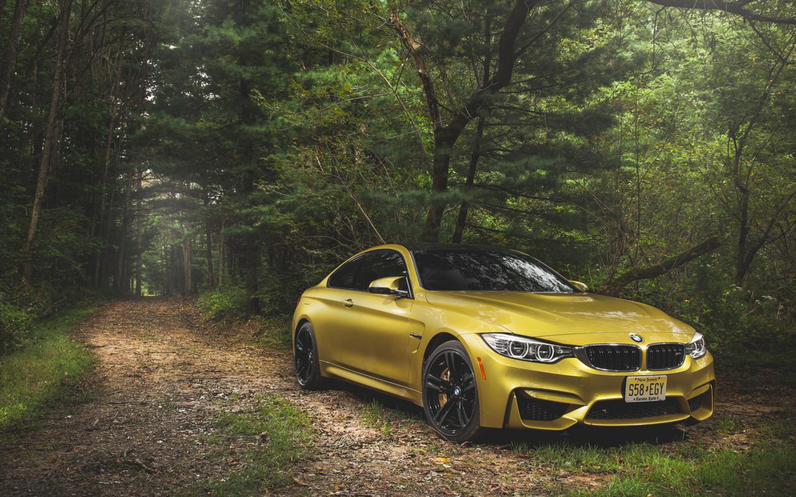 BMW M4 Coupe Wallpaper