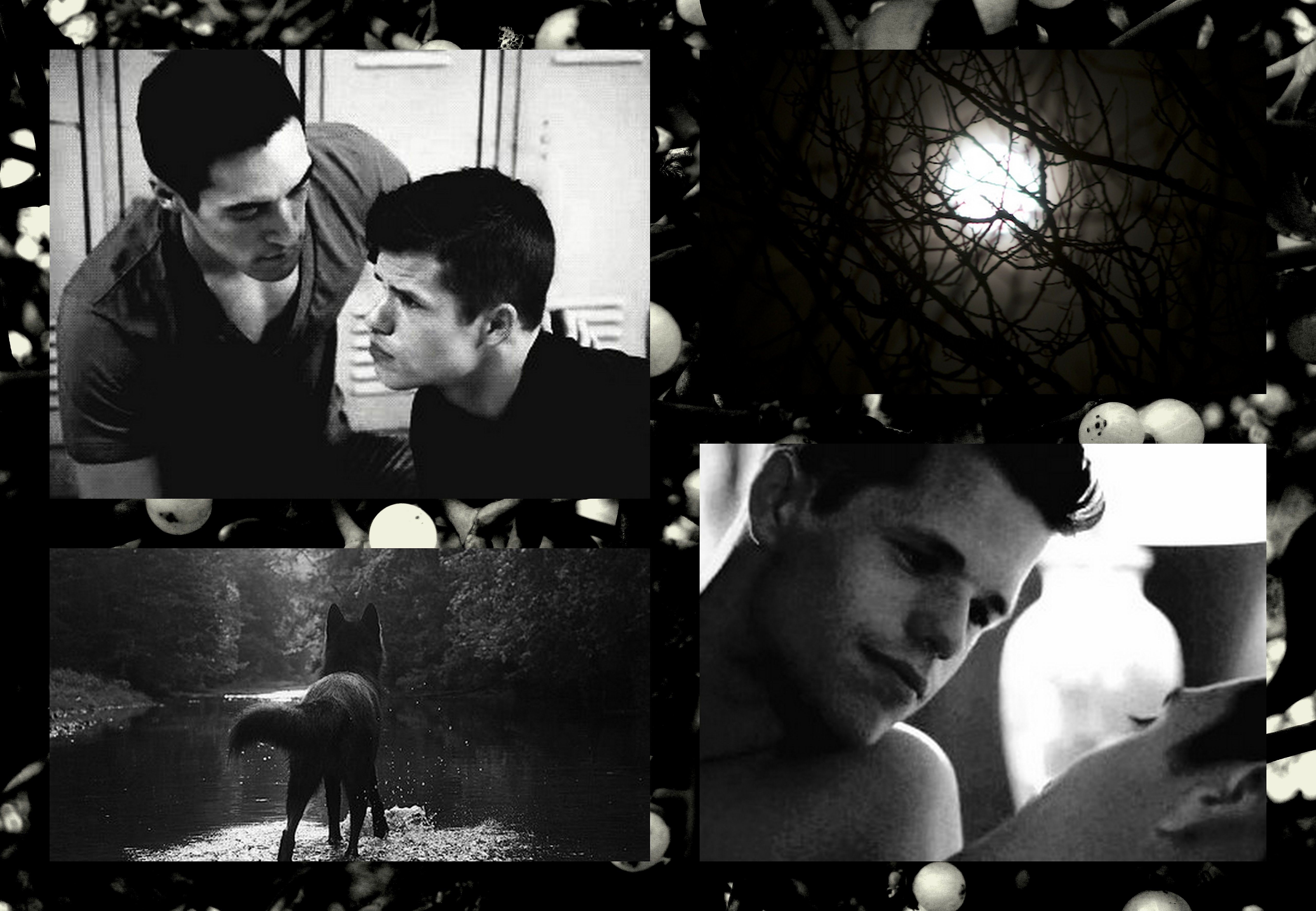 Free download Teen Wolf HD Wallpaper HD Wallpaper [5120x3544] for your Desktop, Mobile & Tablet. Explore Teen Wolf HD Wallpaper. Teen Wolf Wallpaper Desktop, Teen Wolf Season 5 Wallpaper