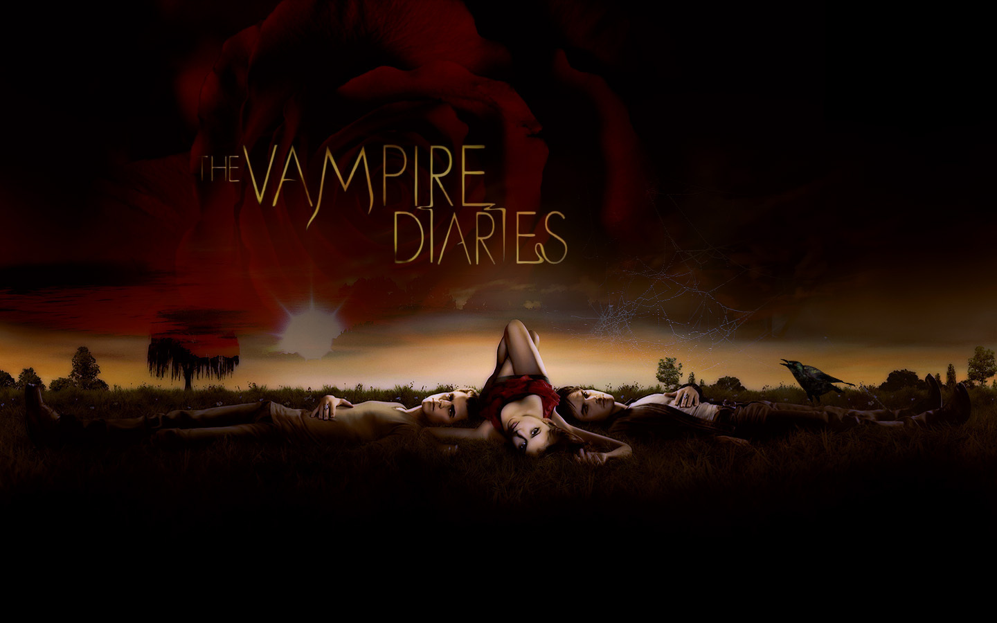 The Vampire Diaries ღ Vampire Diaries Wallpaper