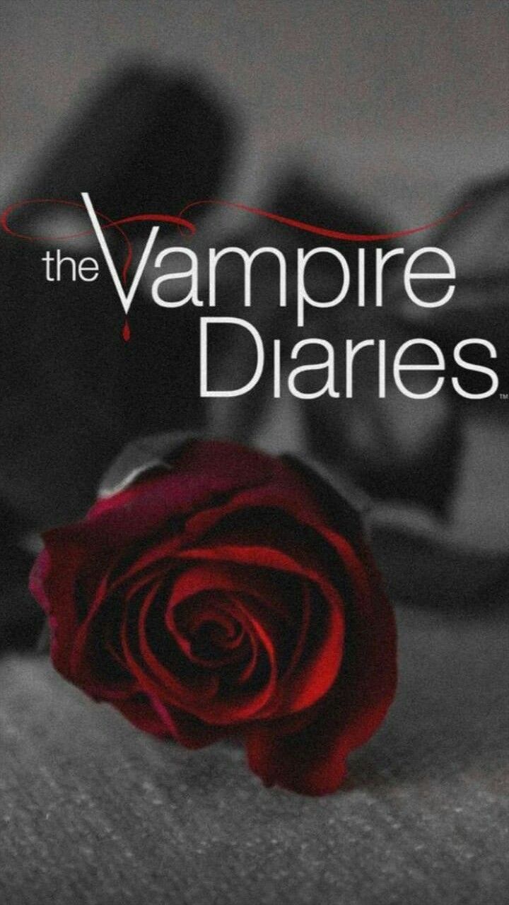 TVD. Vampire diaries funny, Vampire diaries wallpaper, Vampire diaries cast