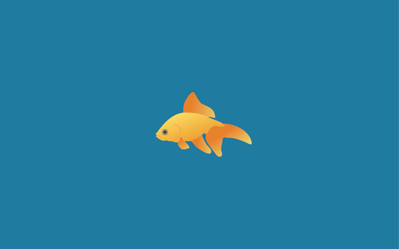 Minimal Fish Wallpaper