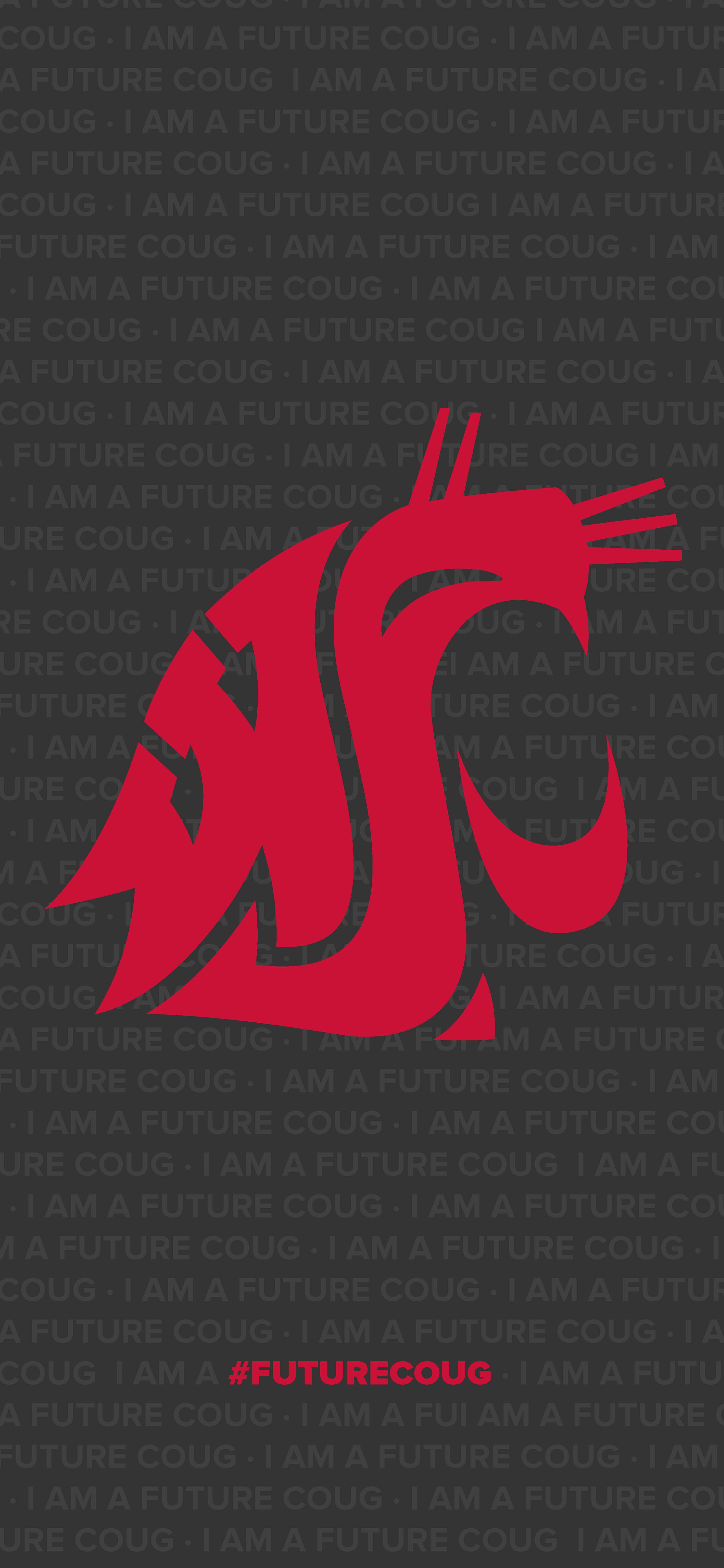 Washington State University
