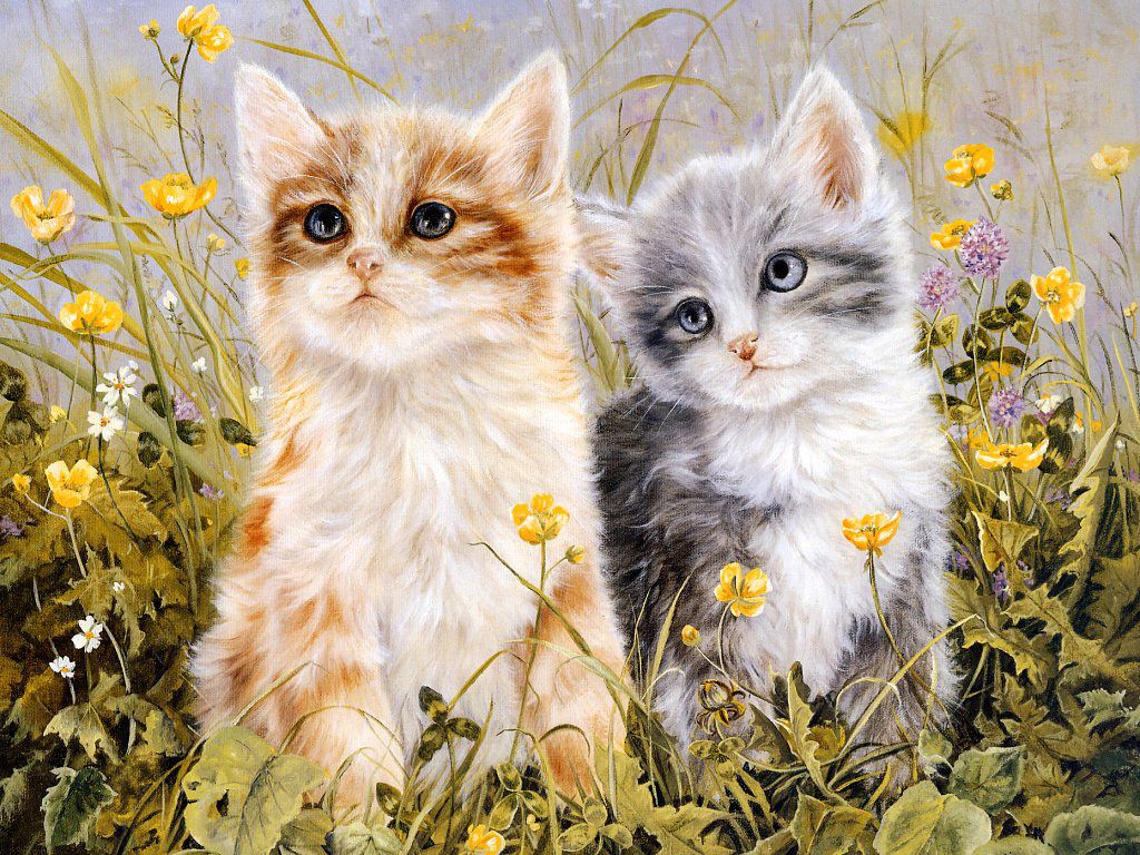 Spring kittens