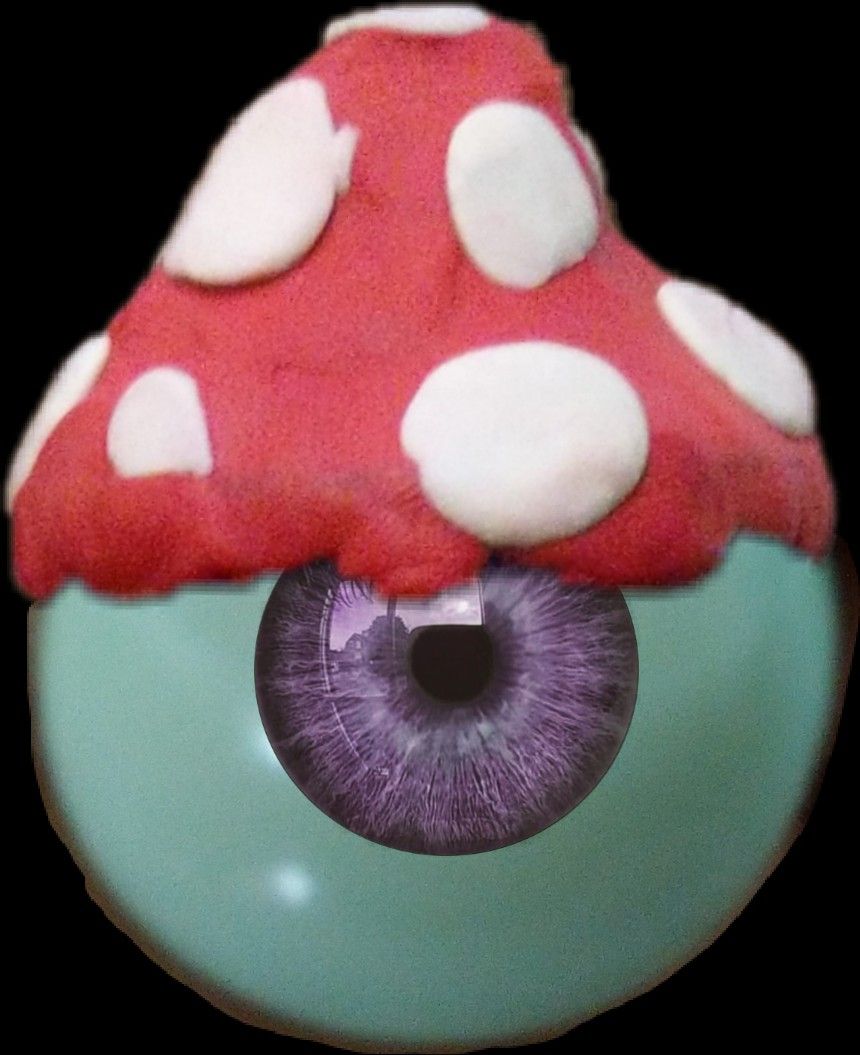 Weirdcore Mushroom eye. Stuffed mushrooms, Sugar cookie, Dreamcore weirdcore