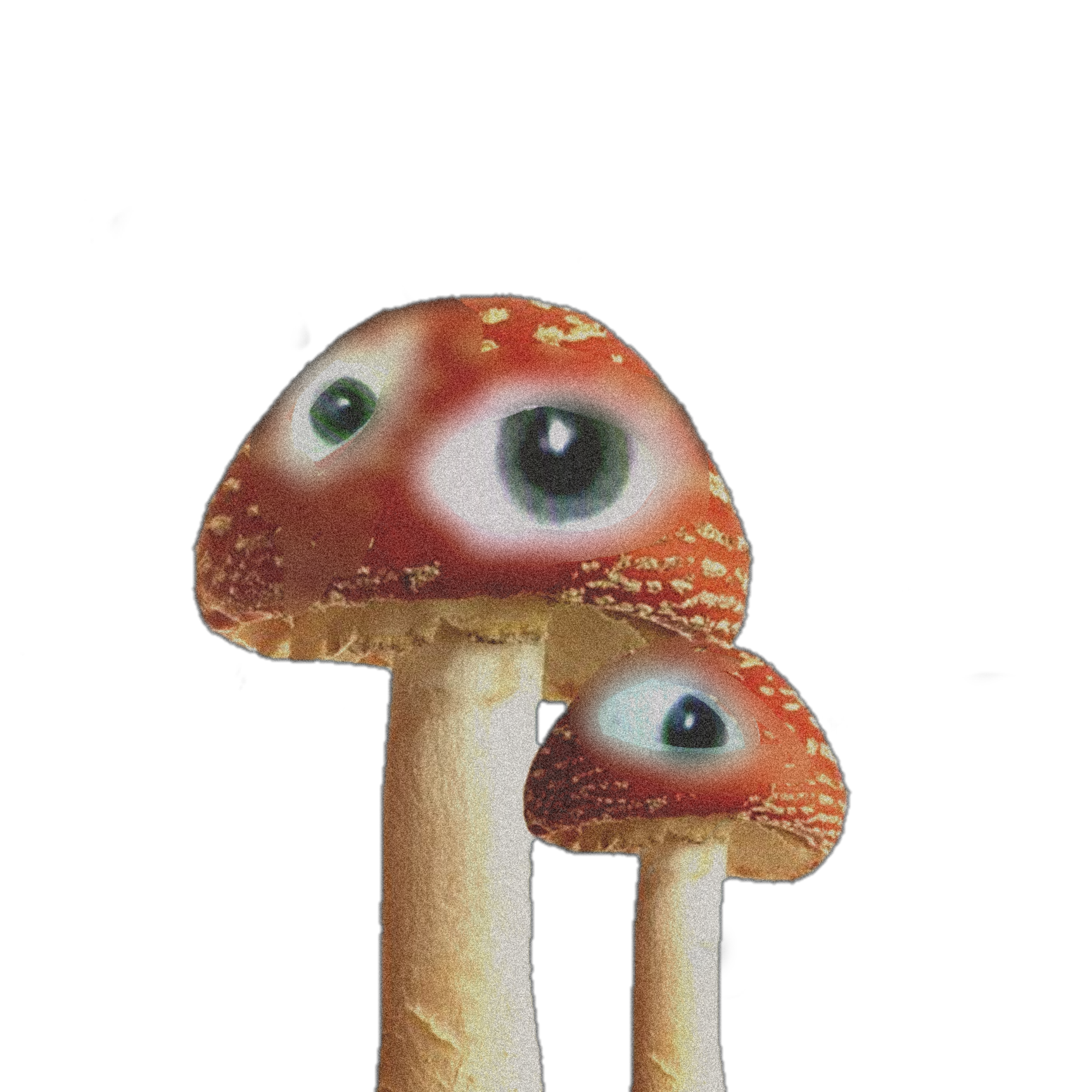 The Most Edited #mushrooms