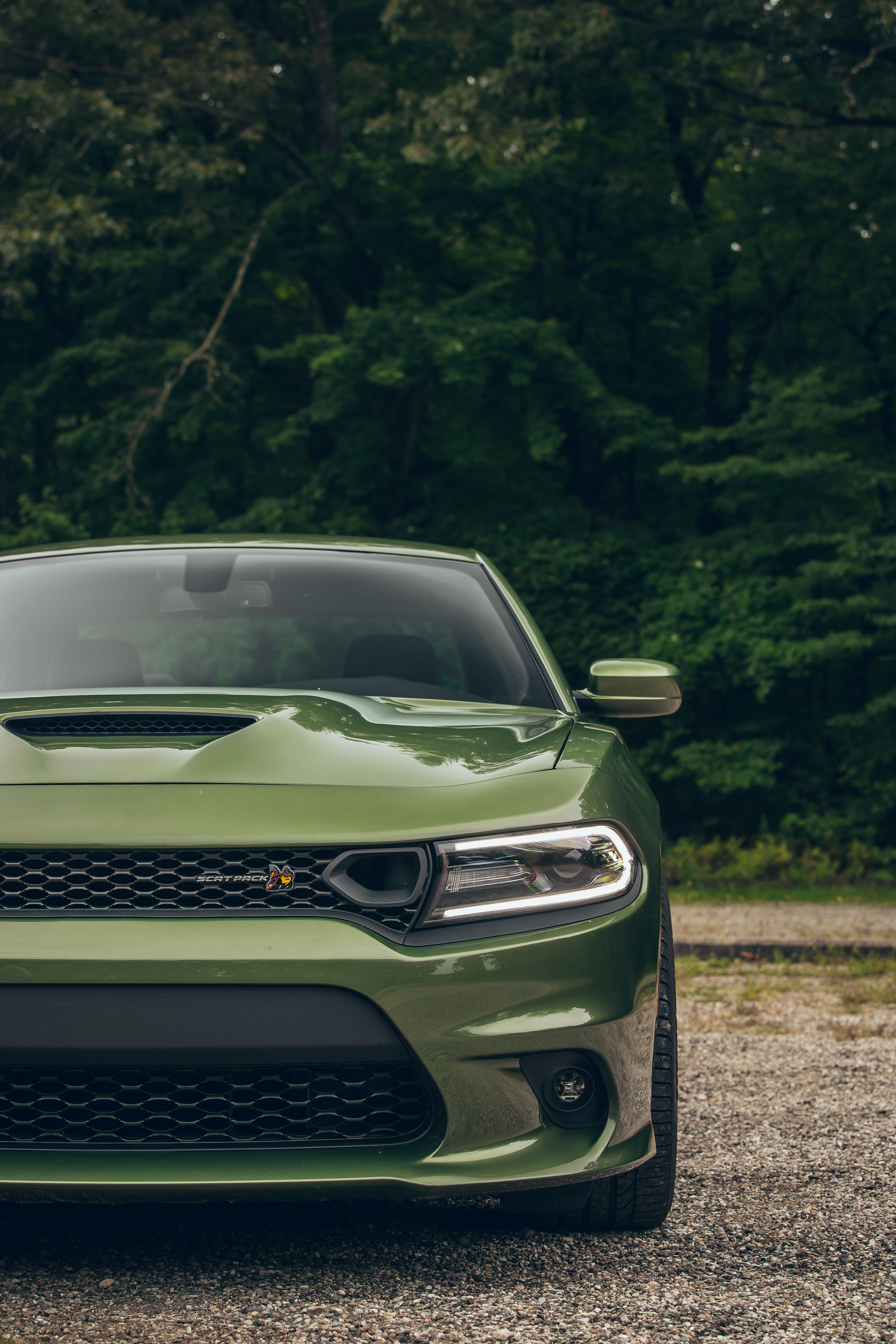Dodge Charger R T Scat Pack Vs. 2019 Kia Stinger GT: Which Sports Sedan Packs A Bigger Punch?