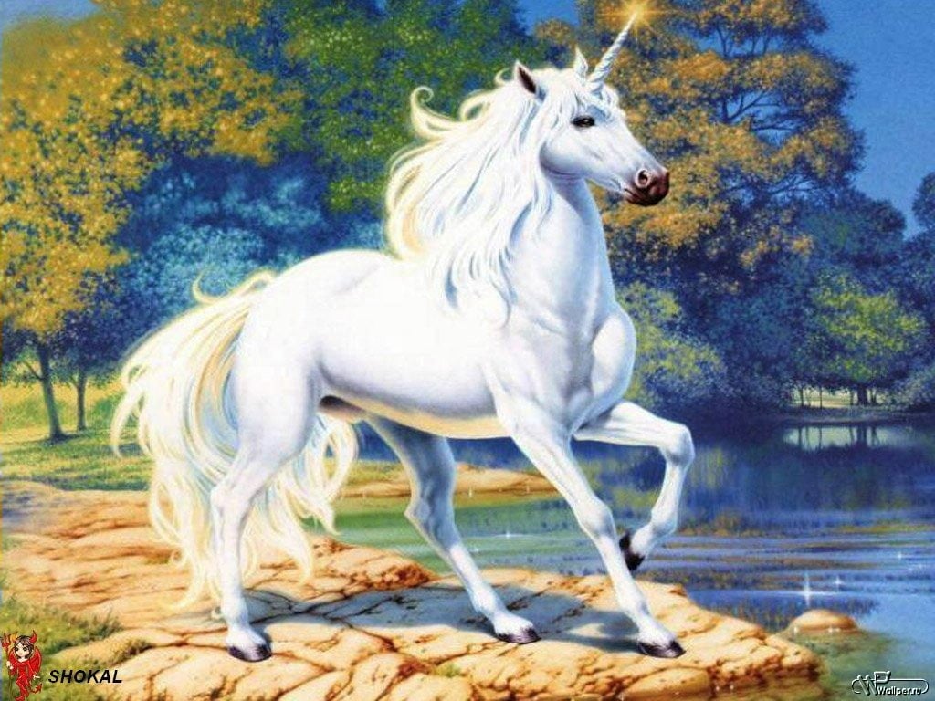 White Unicorn Illustration, Fantasy Art, Animal Themes, Horse Wallpaper • Wallpaper For You