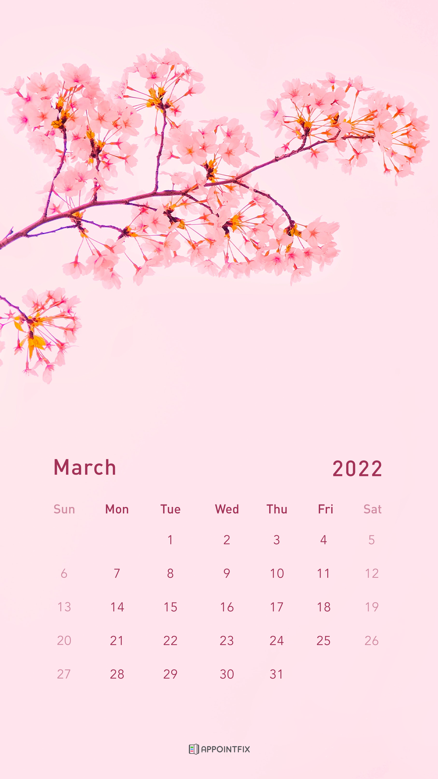 March 2022 Calendar Wallpaper March 2022 Calendar Wallpapers - Wallpaper Cave