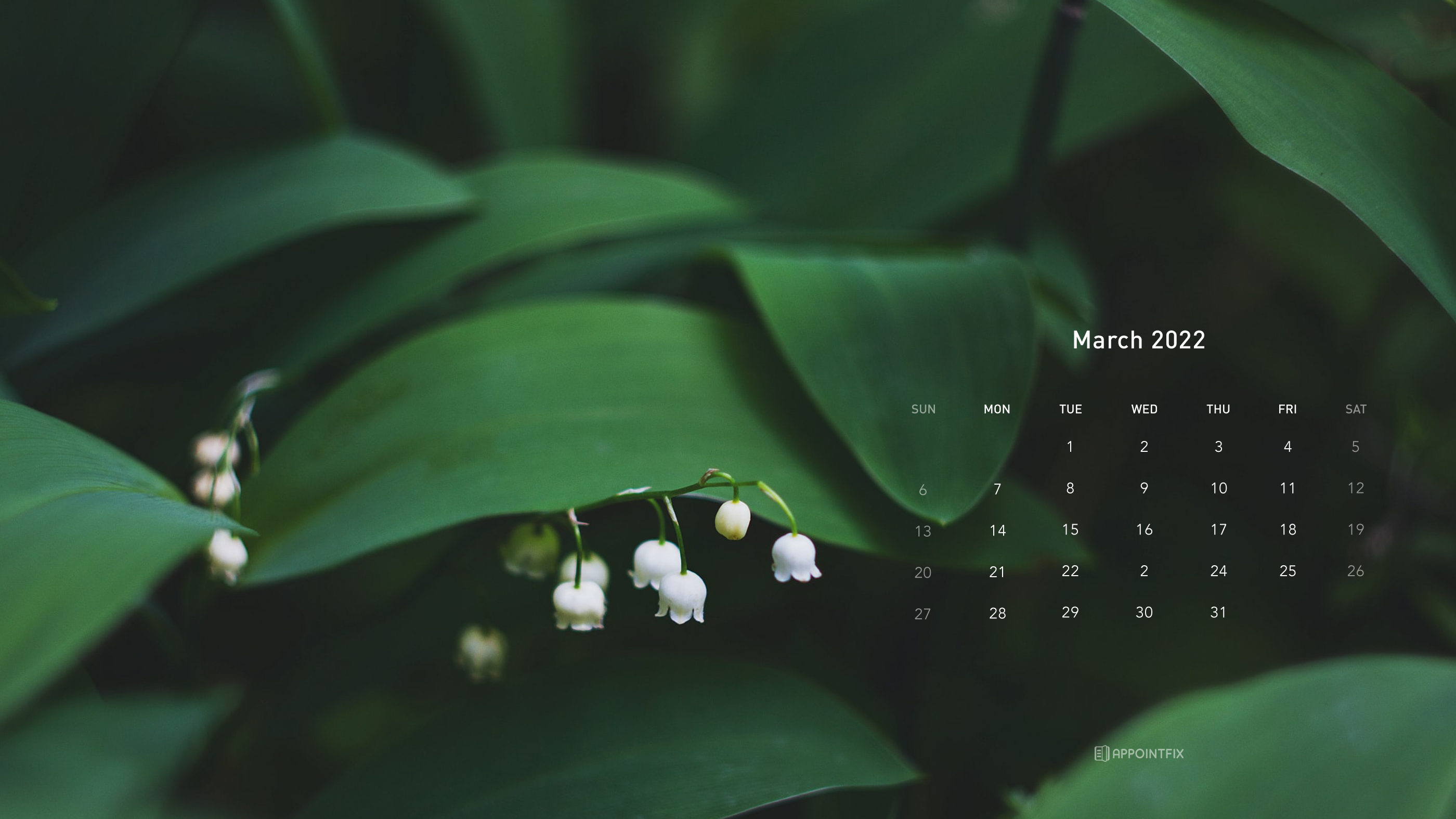 Beautiful March Desktop  Mobile Wallpaper  Free Backgrounds