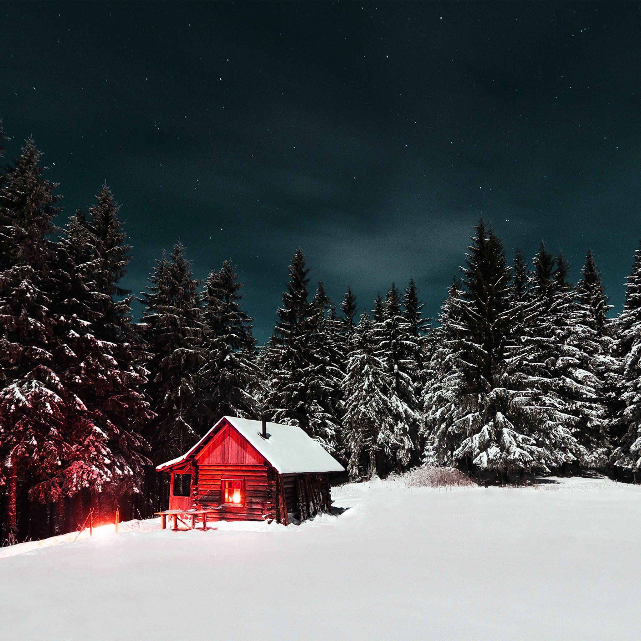 Winter House Night Sky Christmas Starry Wallpaper