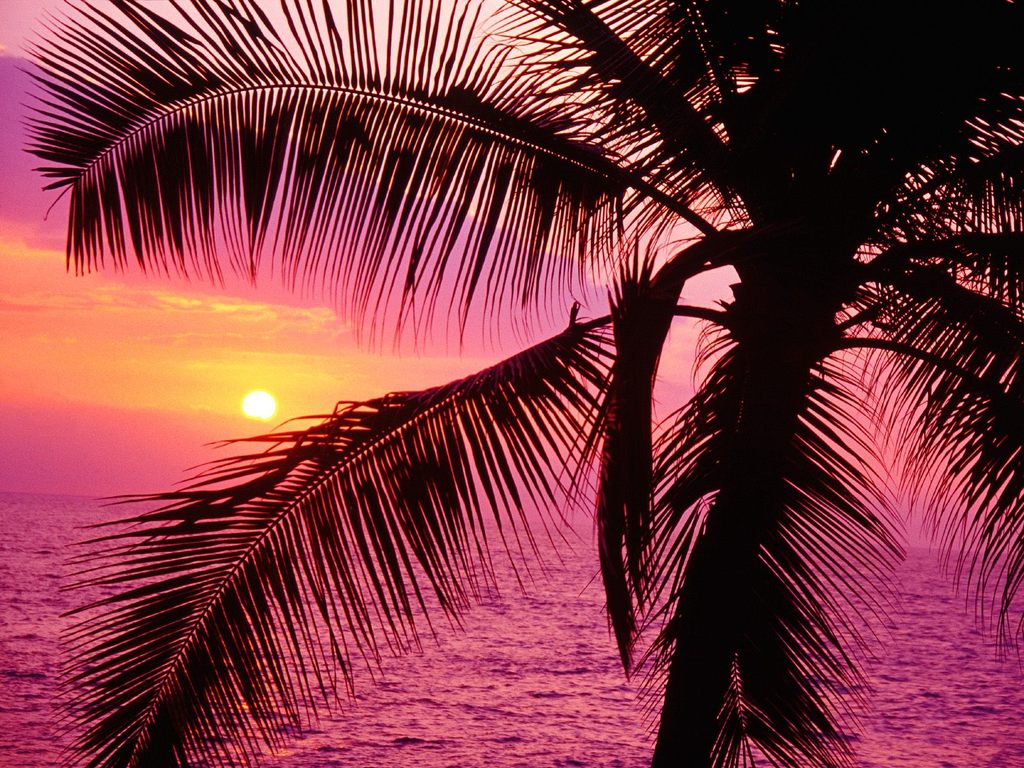 Free download Just Seven Cute Girly Wallpaper [1024x768] for your Desktop, Mobile & Tablet. Explore Pink Beach Sunset Wallpaper. Wallpaper of Beautiful Sunrises