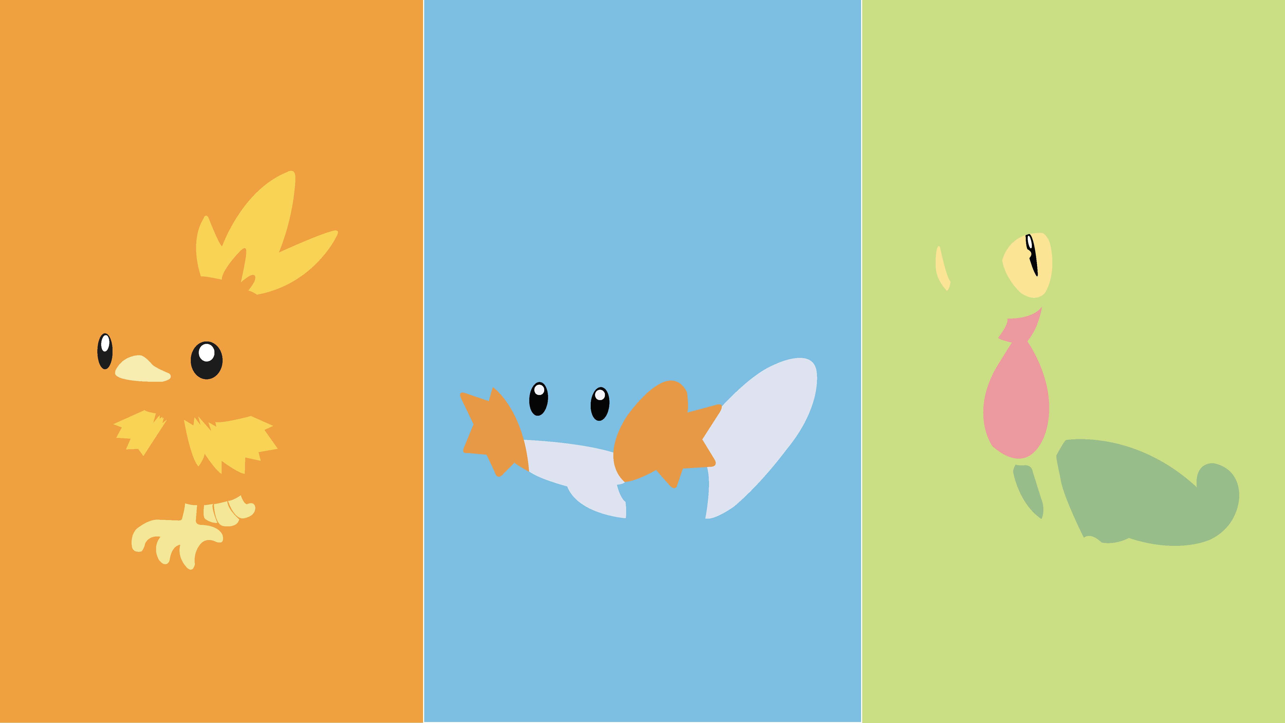 A gen 3 starter wallpaper I created. Use it if you'd like! I got the inspiration from a Torchic design of this style I found, so this wasn't my original idea. [1920x1080]
