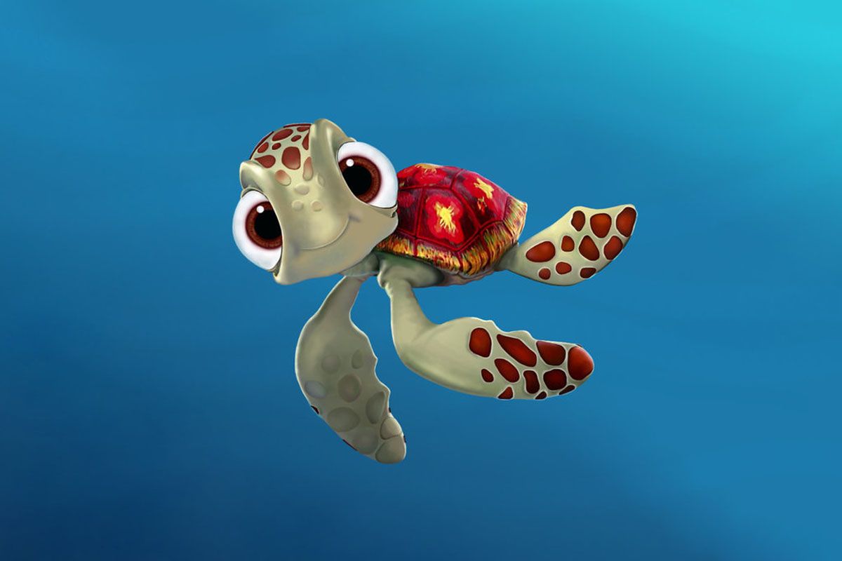 Cute Turtle Wallpaper
