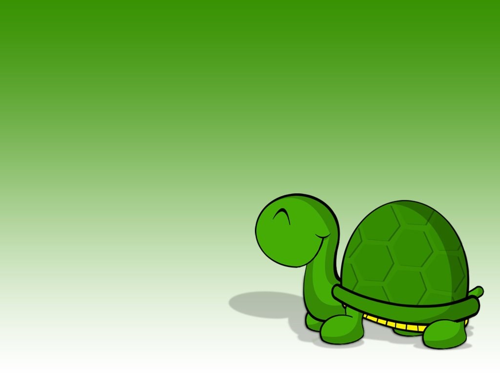Cute Turtle Wallpaper HD Widescreen 2016. Best High Resolution. Desktop Background