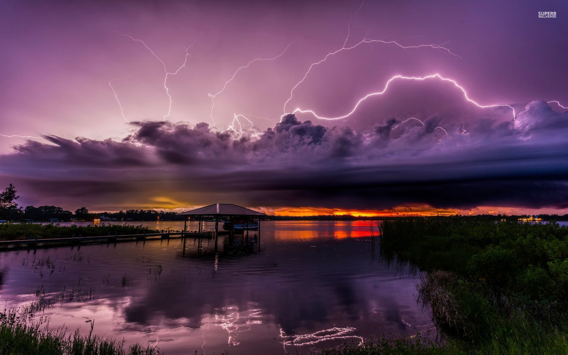 Lake Grass Bushes Purple Storm wallpaper. Lake Grass Bushes Purple Storm