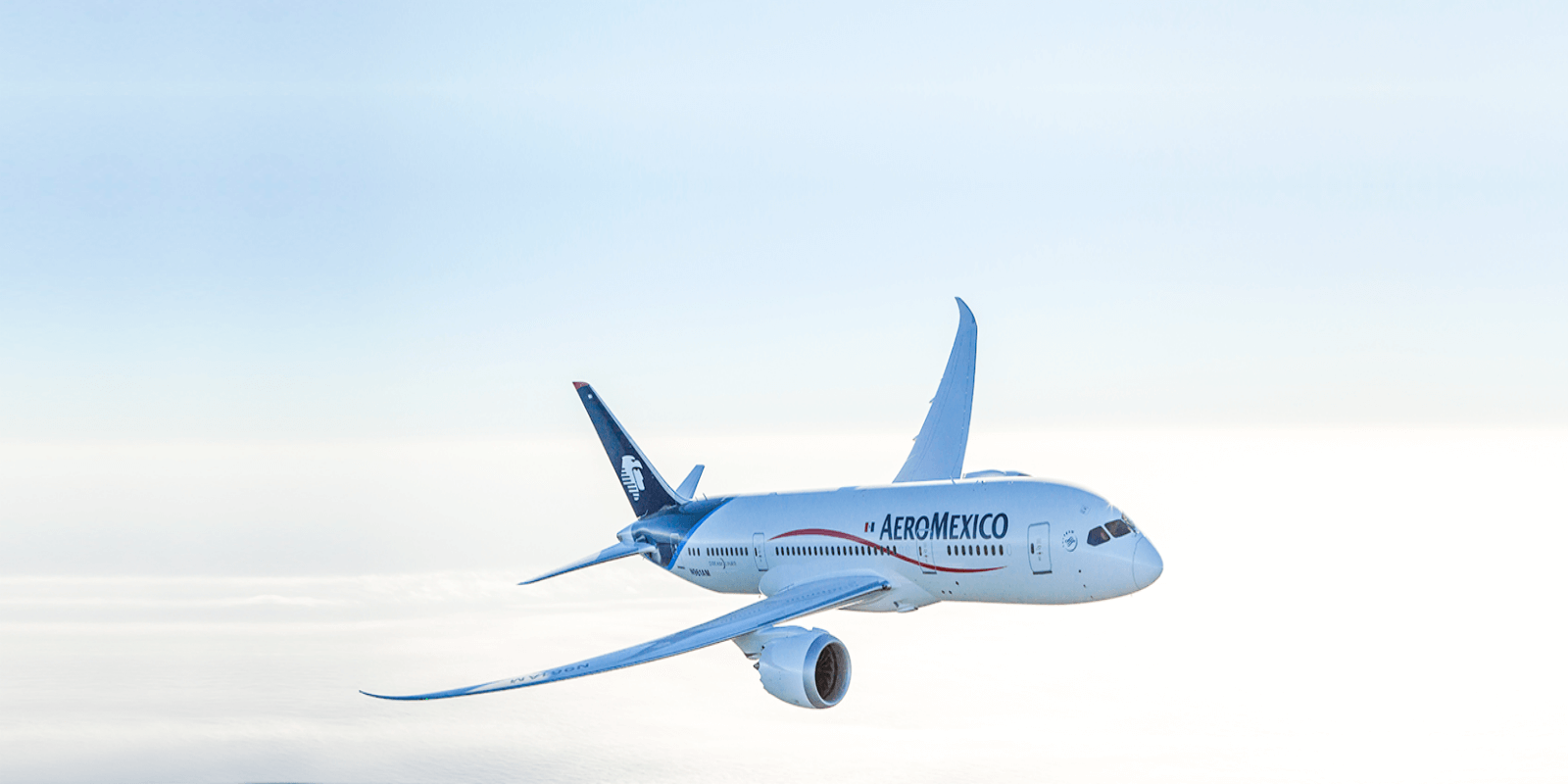 Introducing AeroMexico