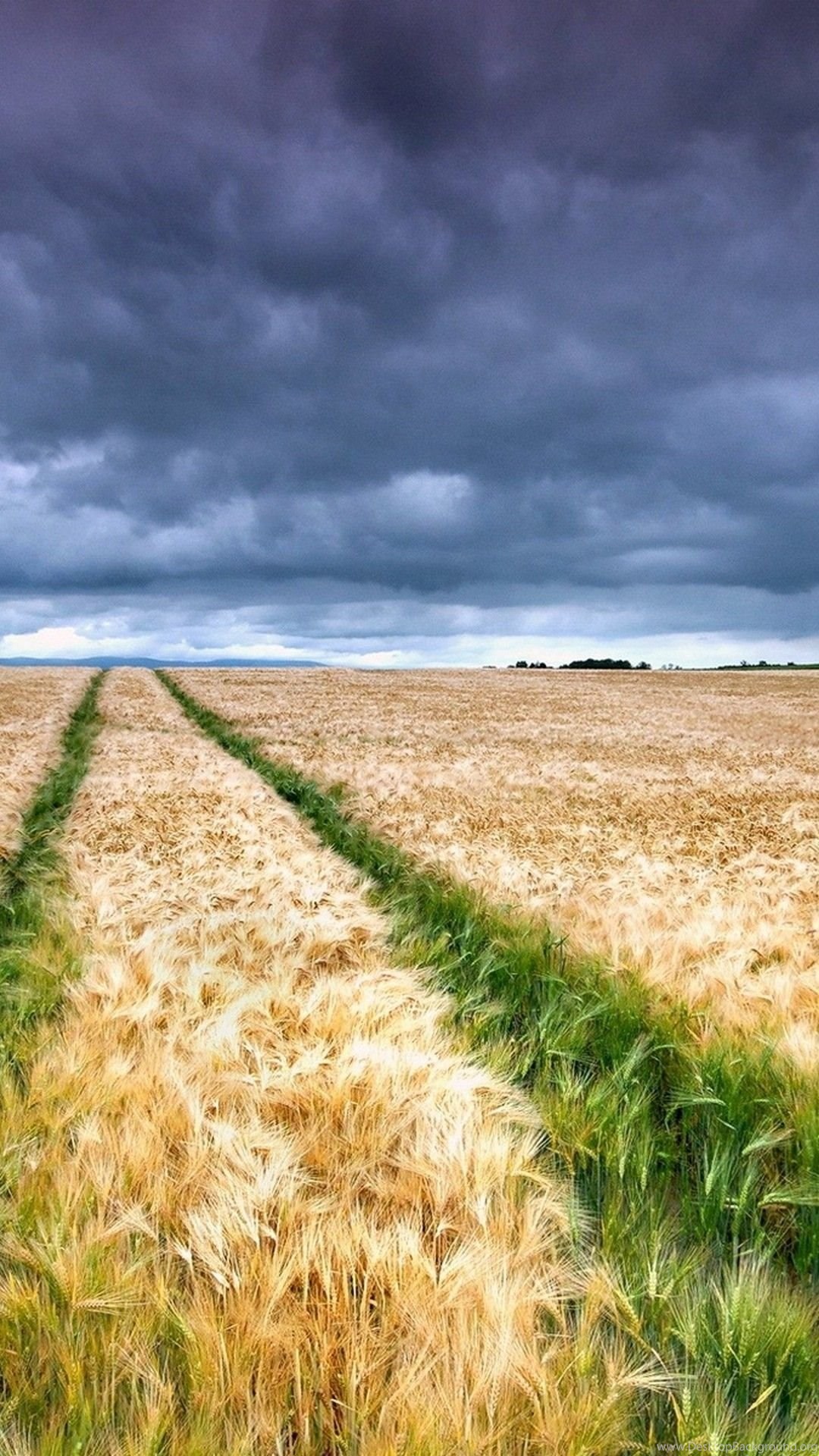 Wheat Field Mobile Wallpapers - Wallpaper Cave