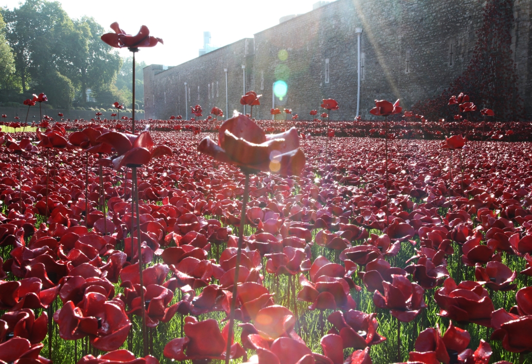 Lest we forget: the beginnings of the remembrance society