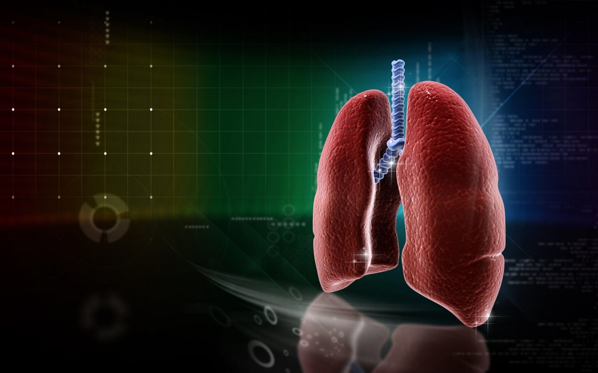 Respiratory Wallpapers Wallpaper Cave