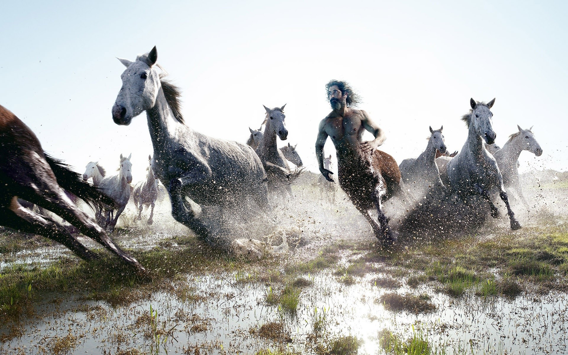 Free download herd of horses wallpaper and image wallpaper picture photo [1920x1200] for your Desktop, Mobile & Tablet. Explore Human Wallpaper. Human Body Wallpaper, Being Human Wallpaper, Deus Ex