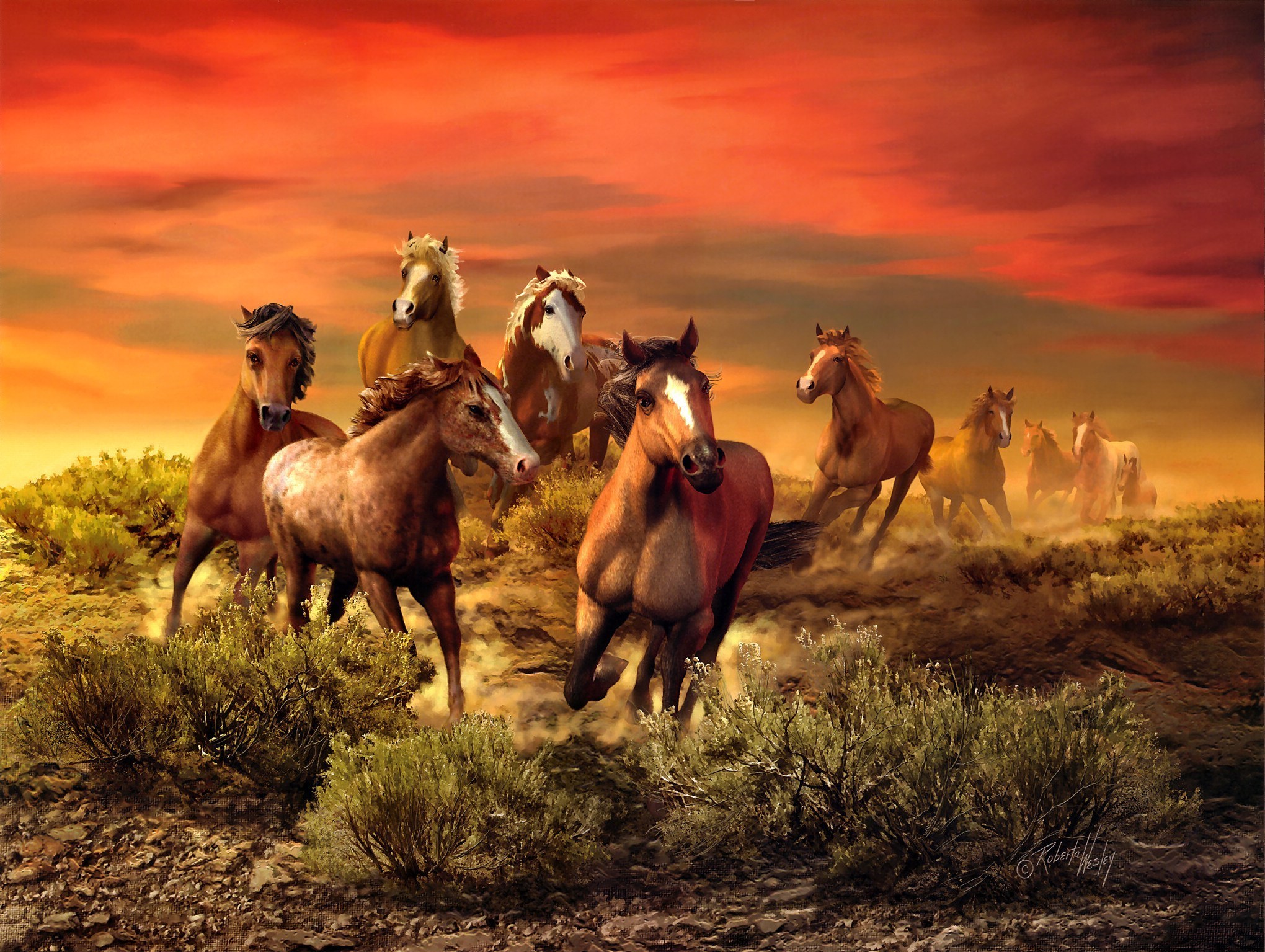 roberta, Wesley, Herd, Animals, Horses, Art, Nature, Landscapes, Sunset, Sunrise, Sky, Clouds Wallpaper HD / Desktop and Mobile Background