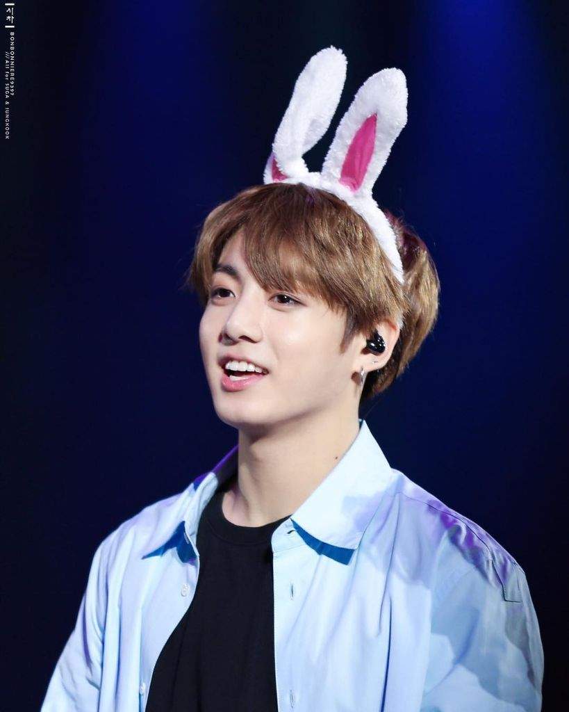 Jungkook bunny