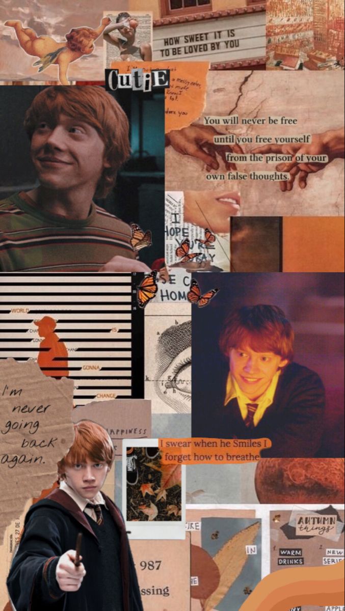 Harry, Ron and Hermione Wallpaper - Harry, Ron and Hermione Wallpaper  (25679053) - Fanpop