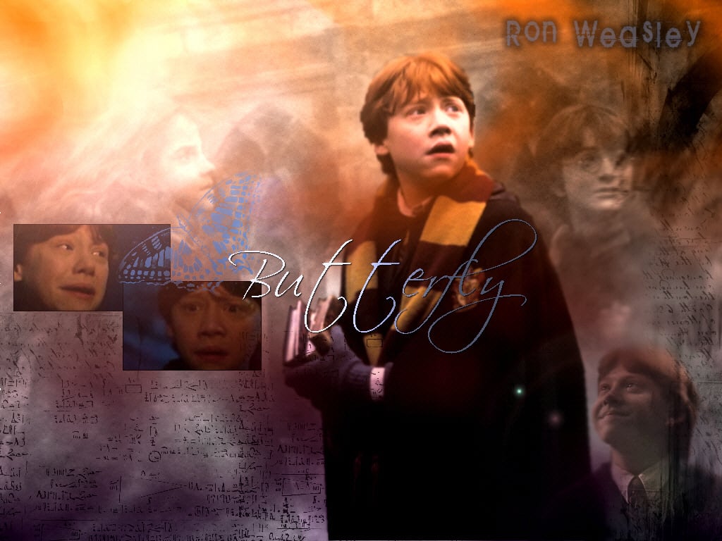 Ronald Weasley Weasley Wallpaper