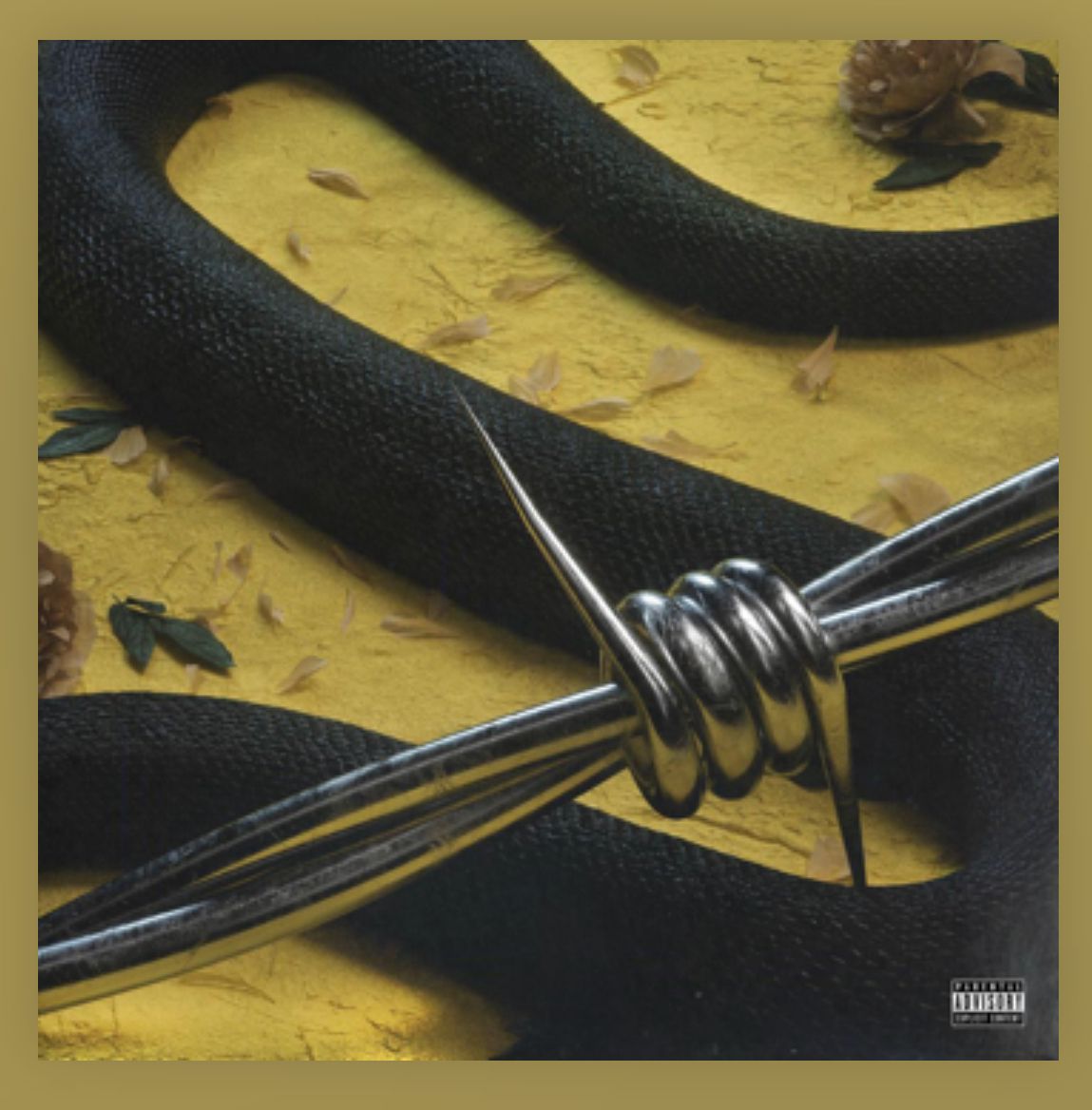 Cherrybomb's photoblog