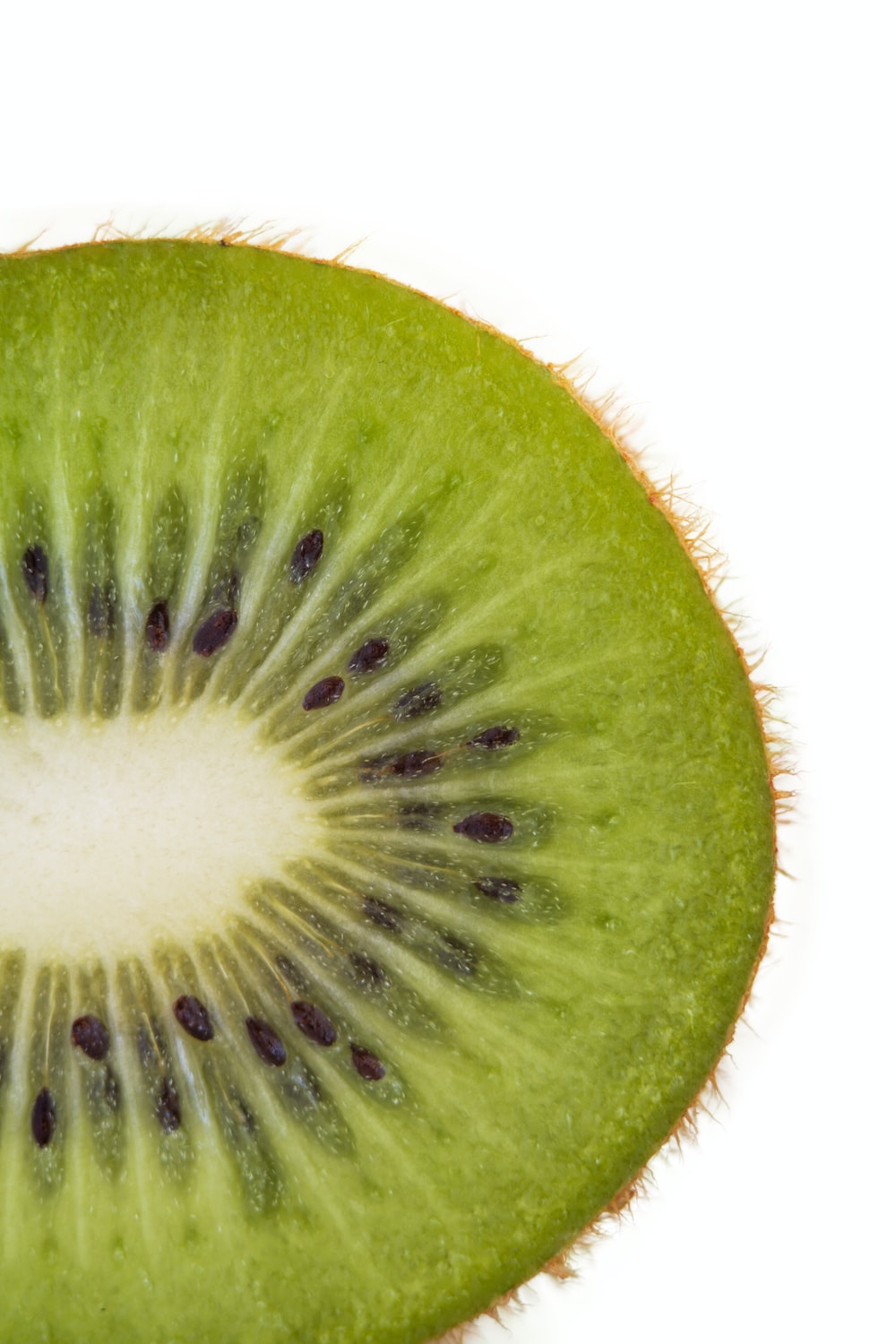 Kiwi Picture [HD]. Download Free Image