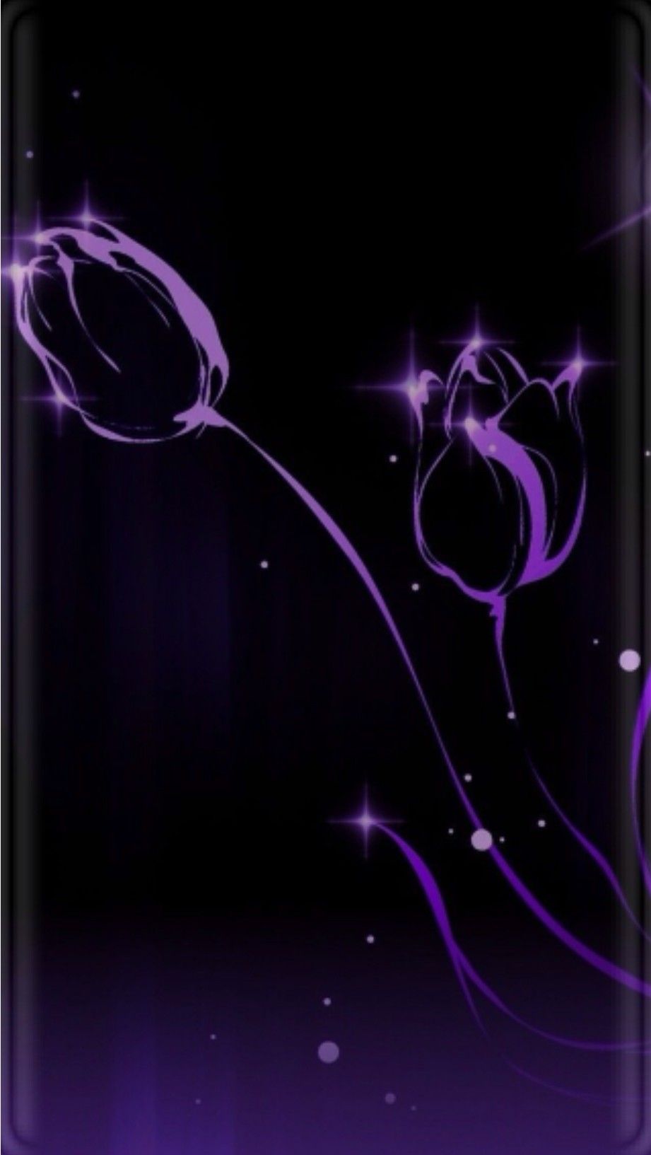 Purple Tulips on Black Wallpaper. Purple flowers wallpaper, Purple background, Purple wallpaper