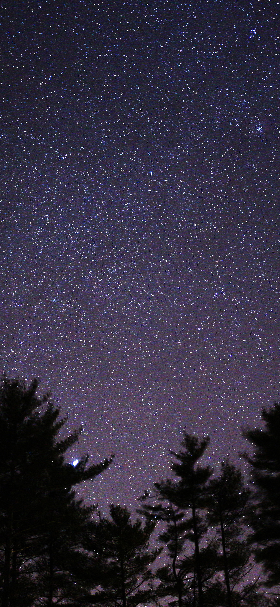 iPhone X wallpaper. night sky star space starry wood dark