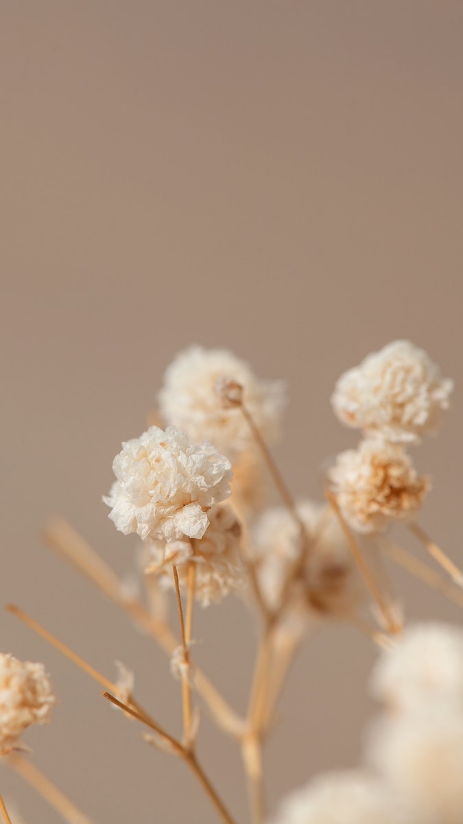 iPhone Minimalism Beige Aesthetic Wallpapers - Wallpaper Cave
