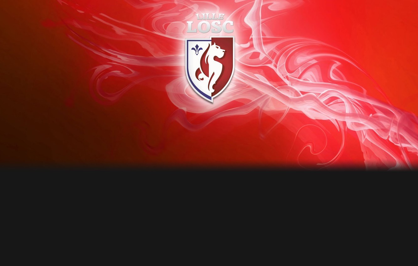 Wallpaper sport, logo, France, football, Lille LOSC image for desktop, section спорт