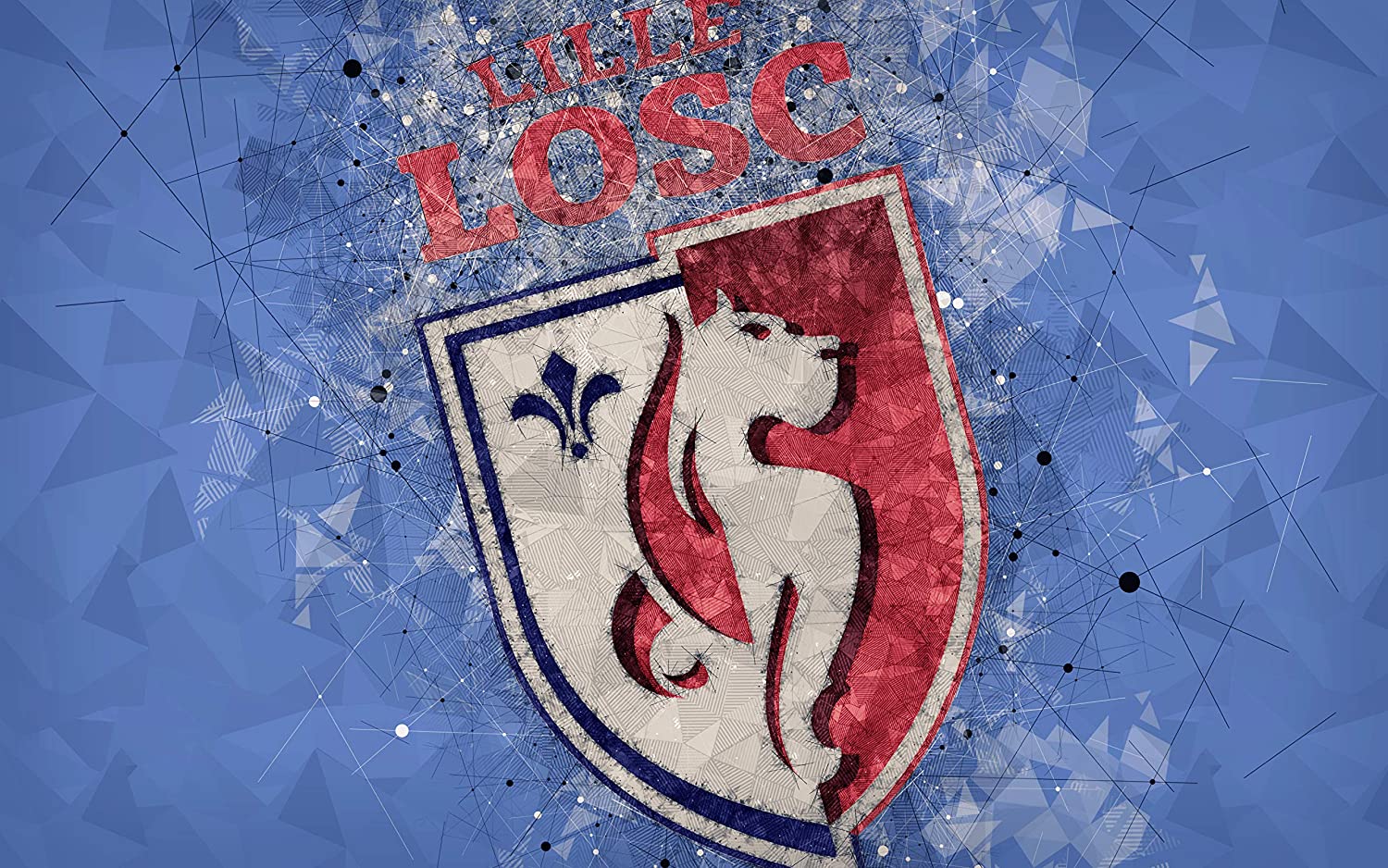 FC Lille LOSC Poster, FC Lille LOSC Football Print, Football Wall Poster, Football Wall Print, Football Wall Art, Football Decor, Handmade Products