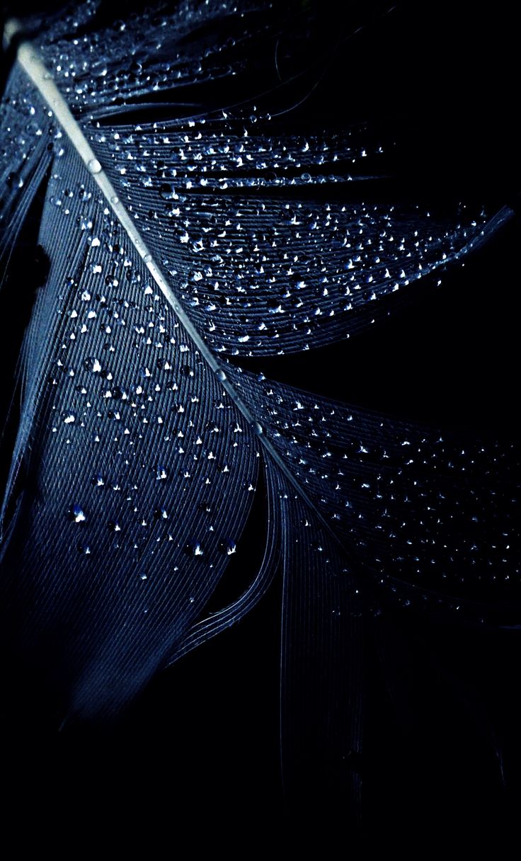 Aaj fir Rone ko jee Chah raha hai. Na Jaane Ye Waqat Mujhse kya Chah raha hai. Kyu Ulajh raha hai. Black wallpaper iphone, Black wallpaper, Feather wallpaper