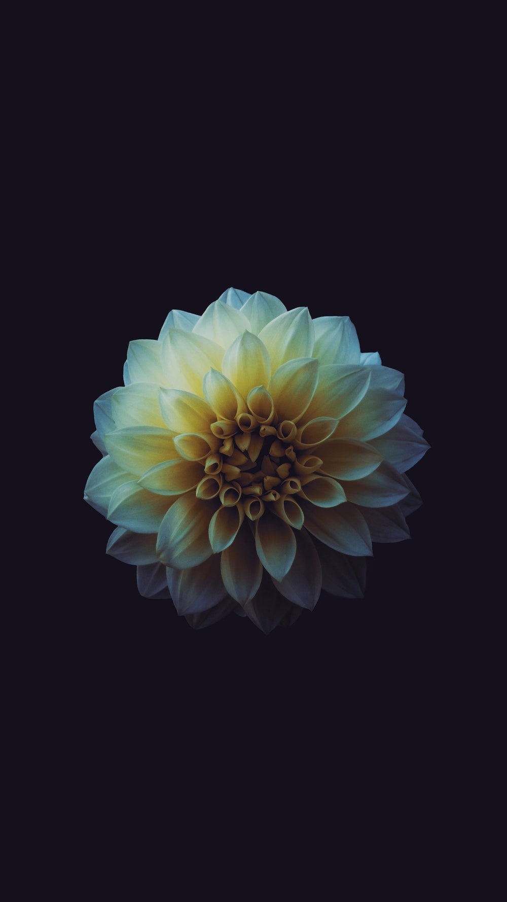 Best Black HD For Mobile Wallpaper, Black HD For Mobile Wallpaper Free Download