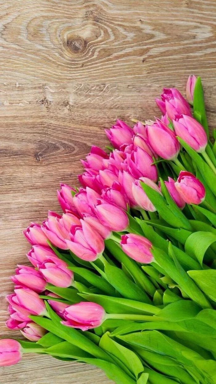 Pink Tulips Wooden Background Phone Wallpaper Happy Spring Image. Flower Background Iphone, Summer Wallpaper Phone, Spring Wallpaper