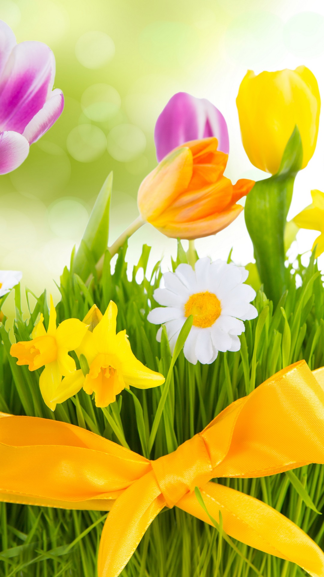 Spring, flowers, colorful tulips iPhone X 8, 7, 6, 5, 4, 3GS wallpaper download