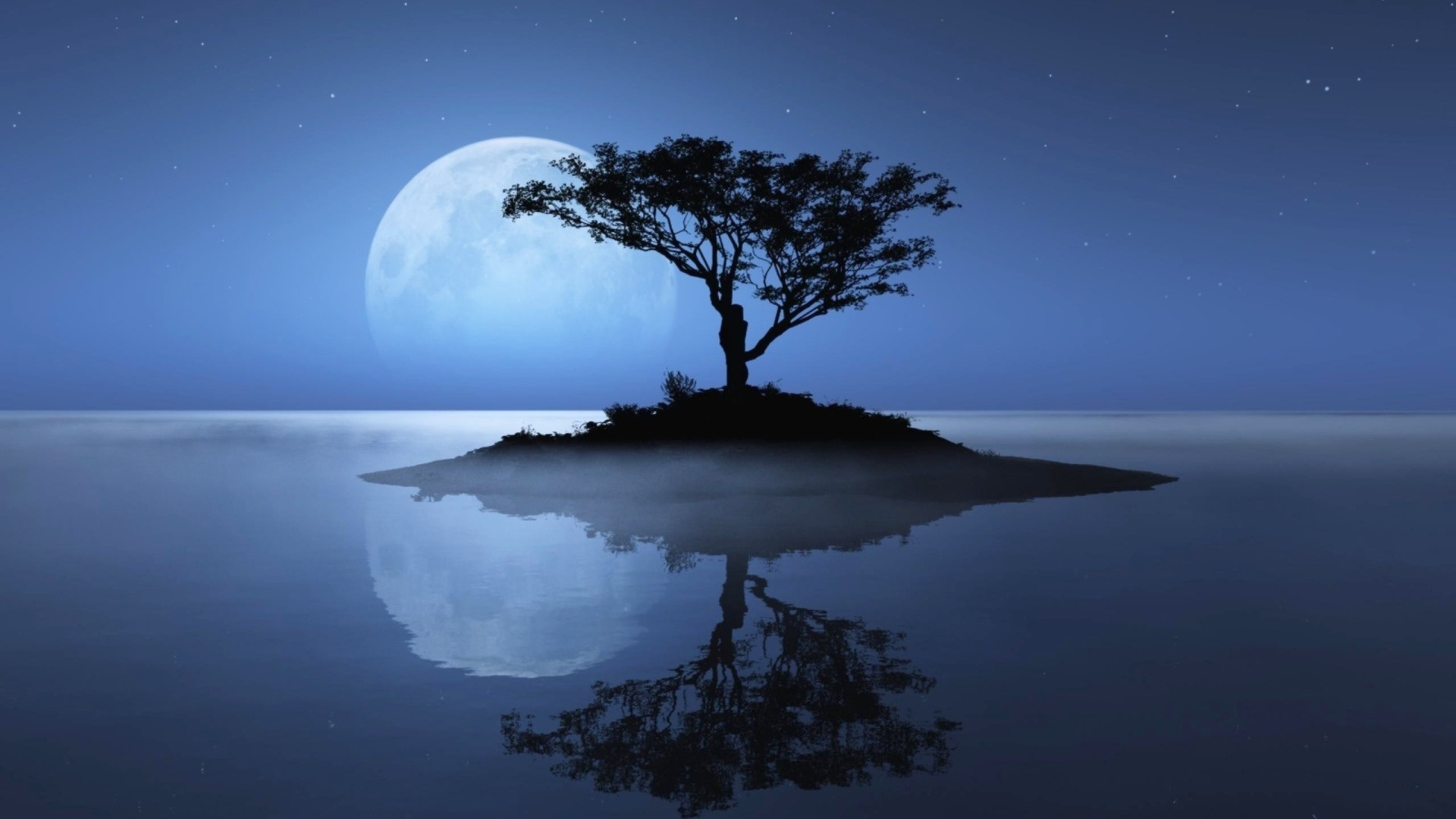 Tree, Island, Stars, Reflection, The Moon, Water Photo Reflection On Water