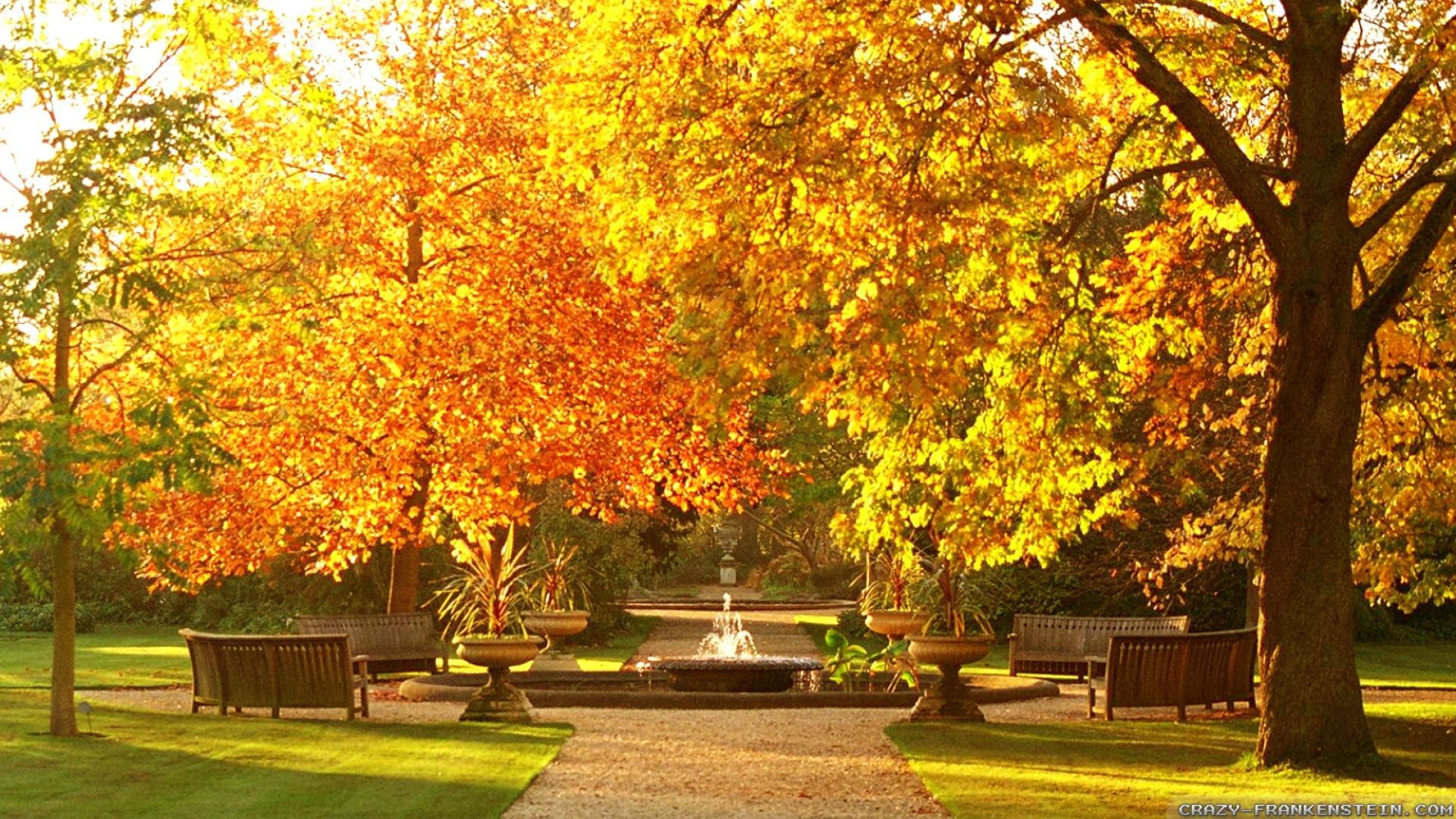 Oxford Botanic Garden in autumn