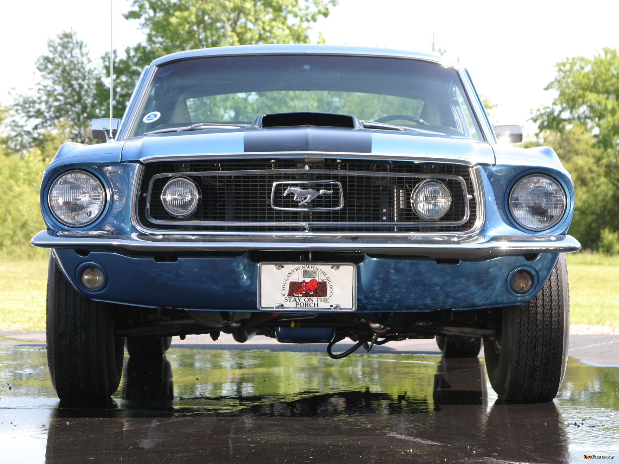 Mustang GT 428 Cobra Jet Fastback 1968 wallpaper (2048x1536)