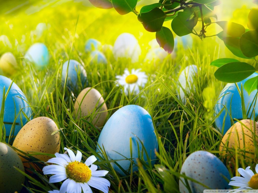 Easter HD Wallpaper