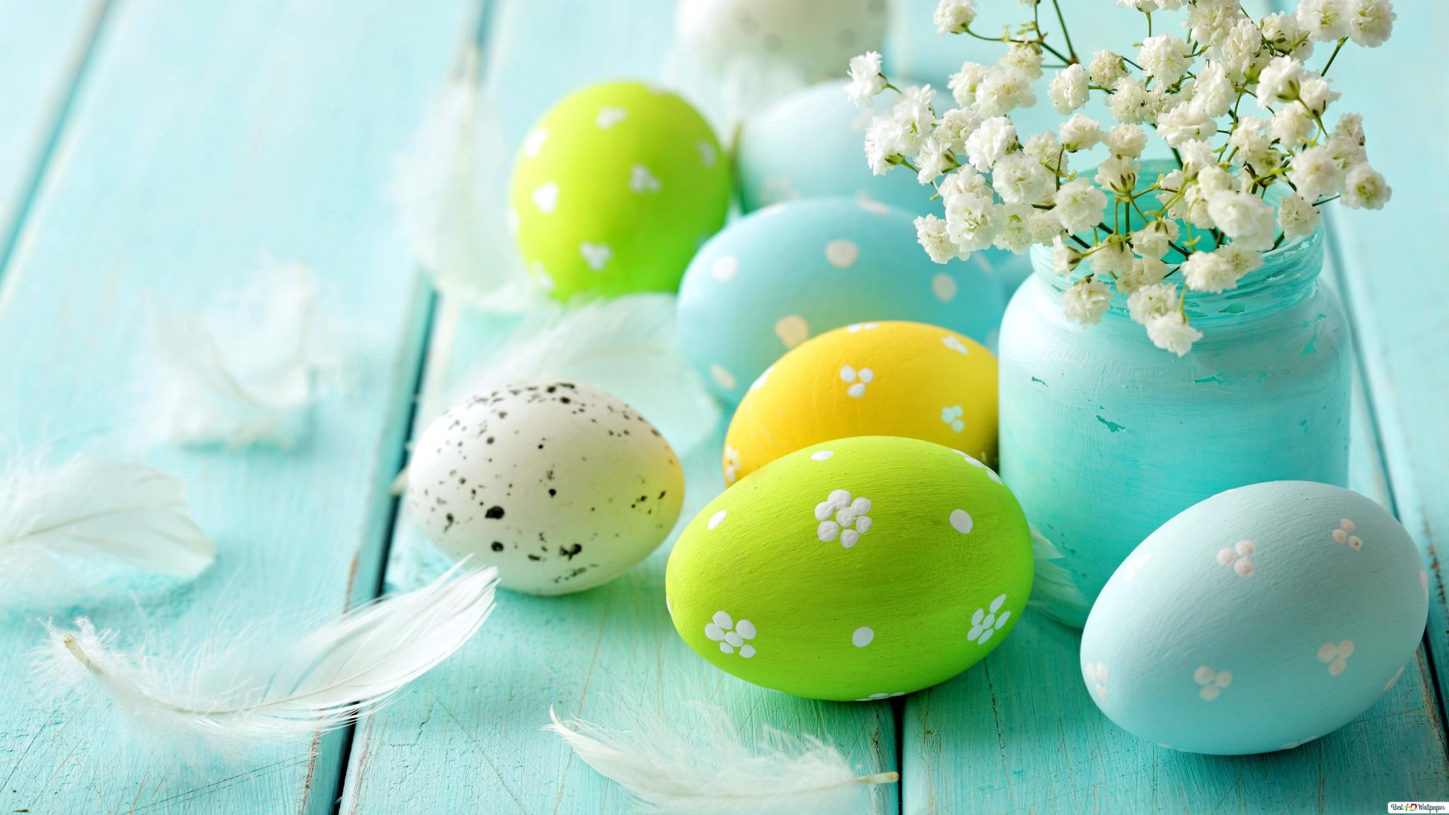 Light blue and green easter egg in a blue wooden plank with a flower vase HD wallpaper download