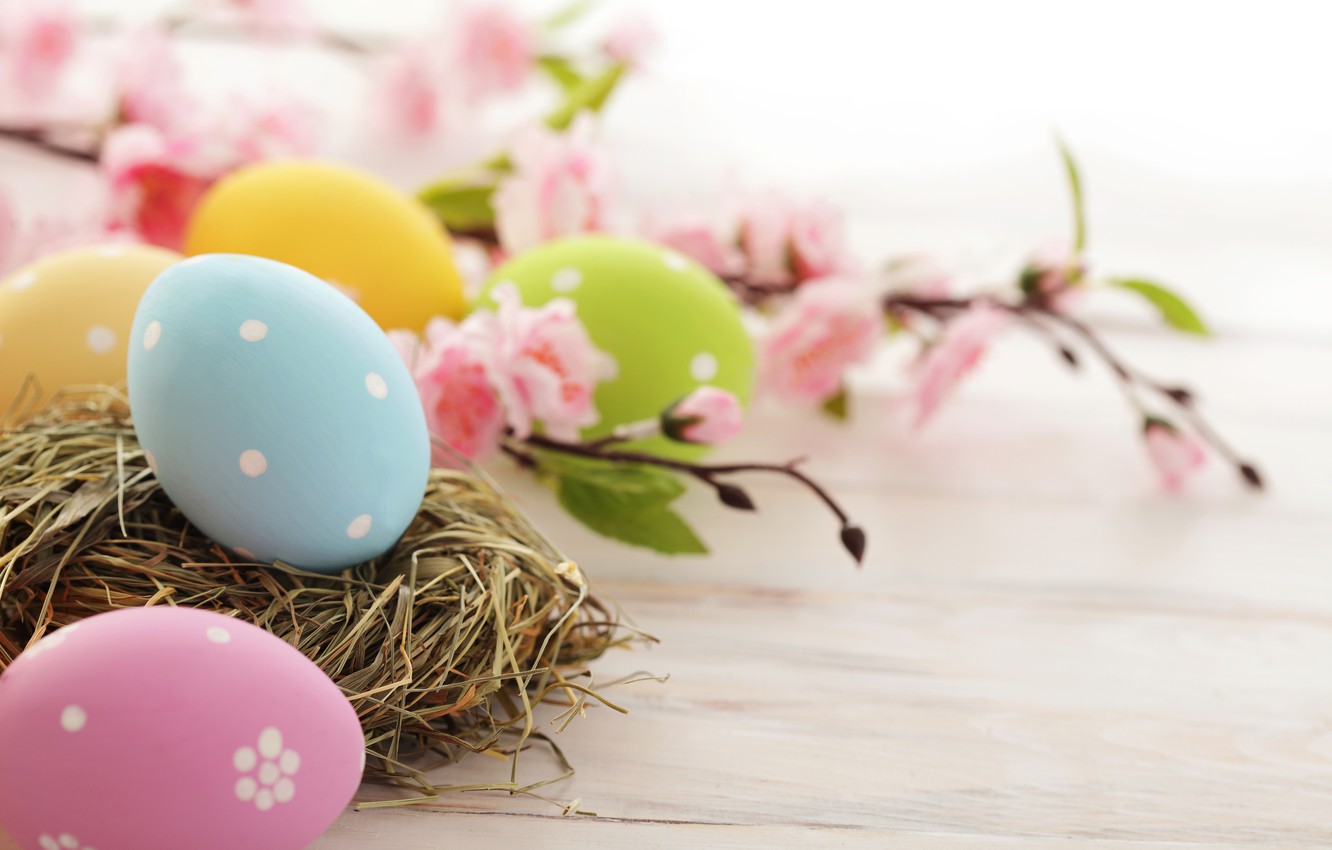 Wallpaper flowers, holiday, eggs, branch, spring, yellow, blue, green, Easter, socket, pink, flowering, Easter, Easter image for desktop, section праздники