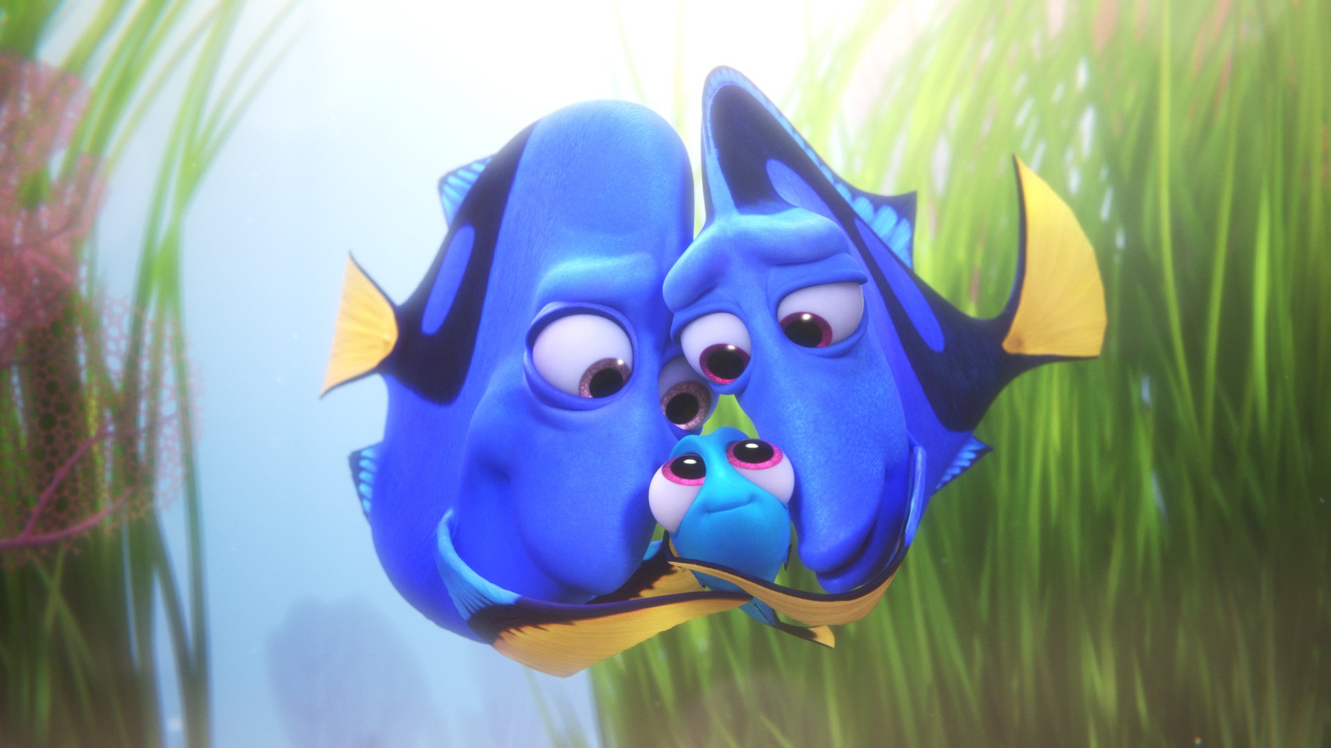 Charlie (Finding Dory) HD Wallpaper and Background Image