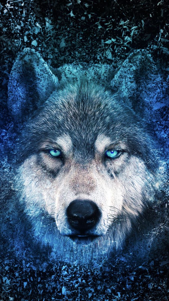 Wolf drawing. Wolf drawing, Majestic animals, Wolf wallpaper