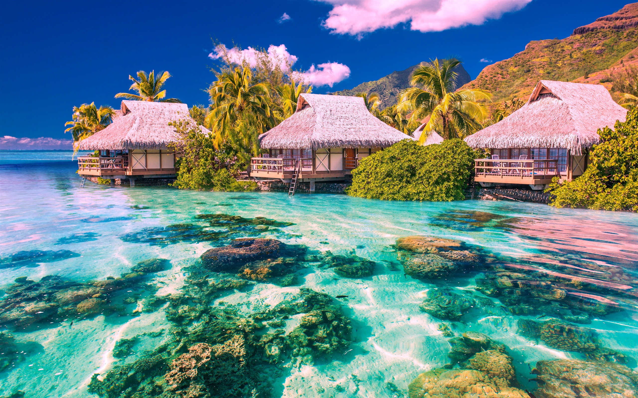 Tropical House Wallpaper