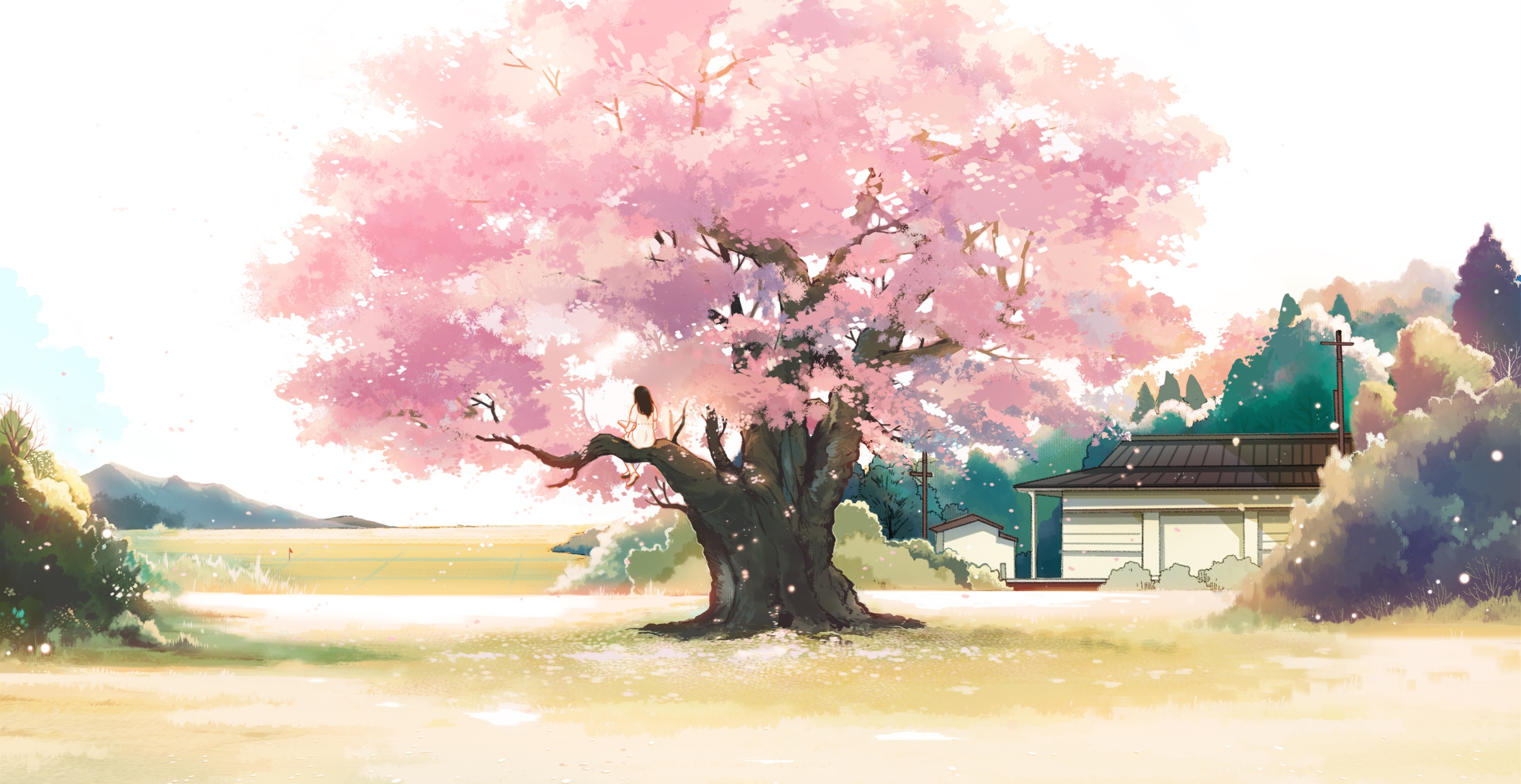 anime landscape tree